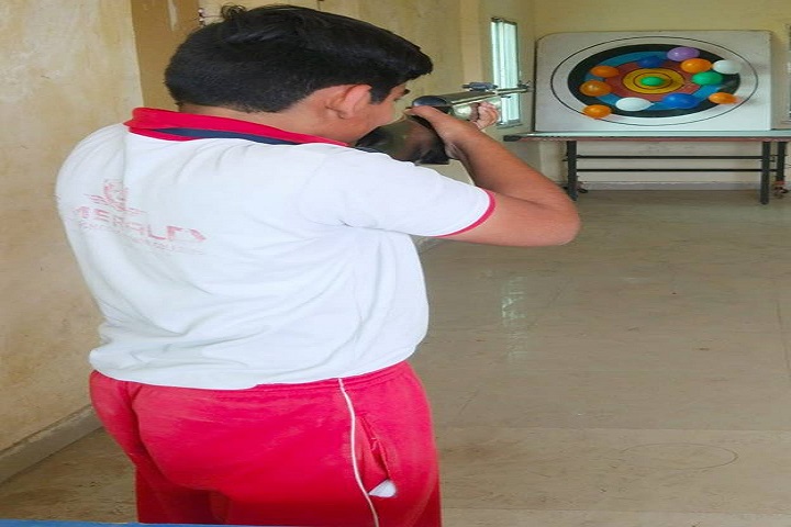 Emerald Heights School-Activity