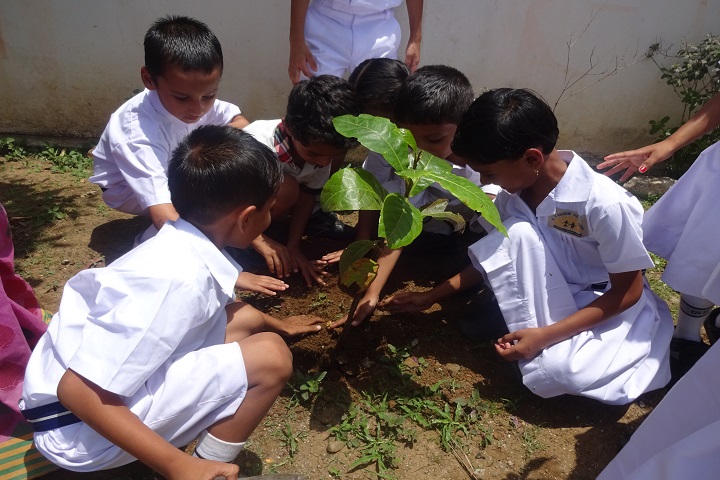 G H Raisoni Vidya Niketan-Tree Plantation