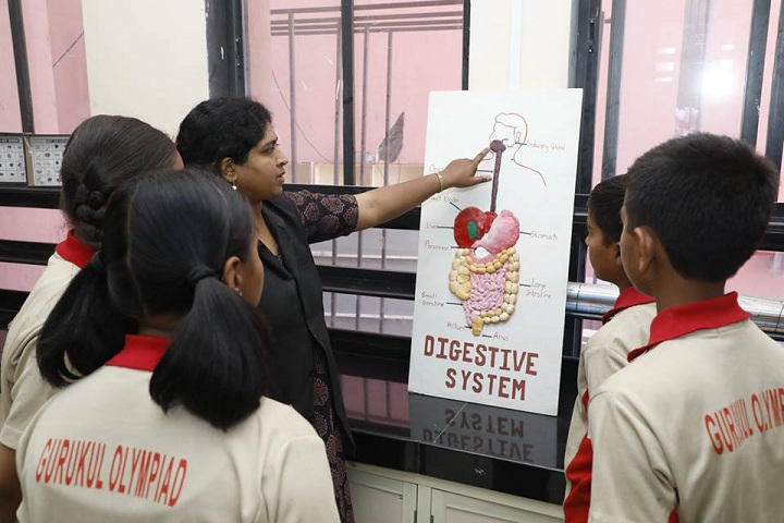Gurukul Olympiad School-lab1