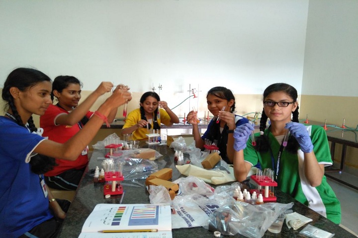 High Vision International School-Chemistry Activity
