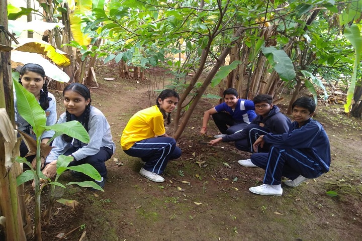 High Vision International School-Plantation Activity