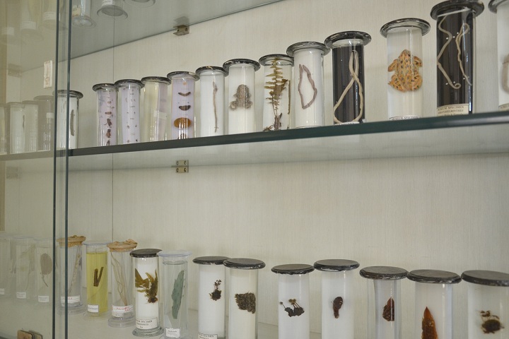 Hon Ratnakarrao Gutte International School-Biology-Lab