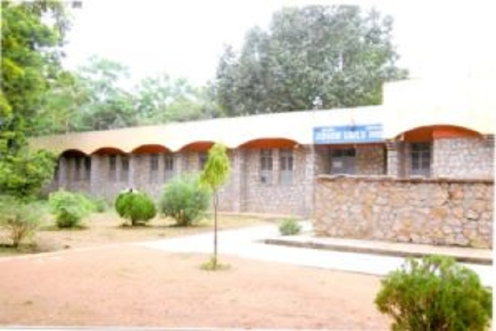Jawahar Navodaya Vidyalaya-School