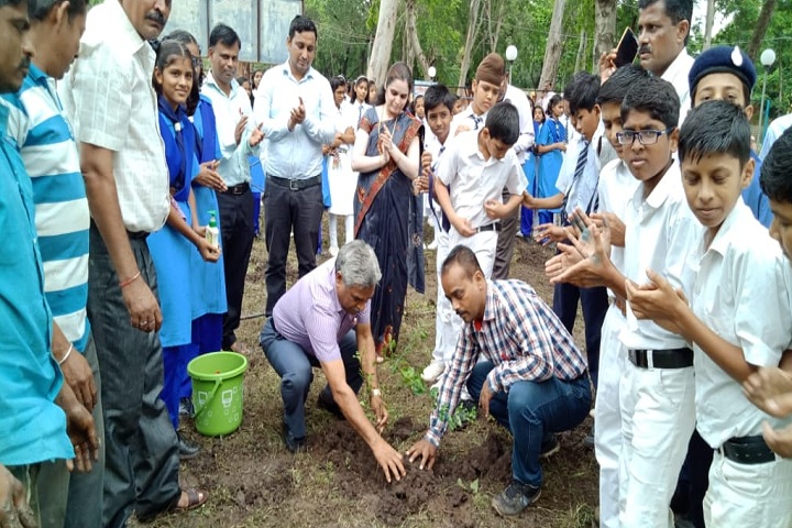 Jawahar Navodaya Vidyalaya-Plantation Activity