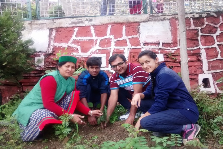 Jawahar Navodaya Vidyalaya-Plantation
