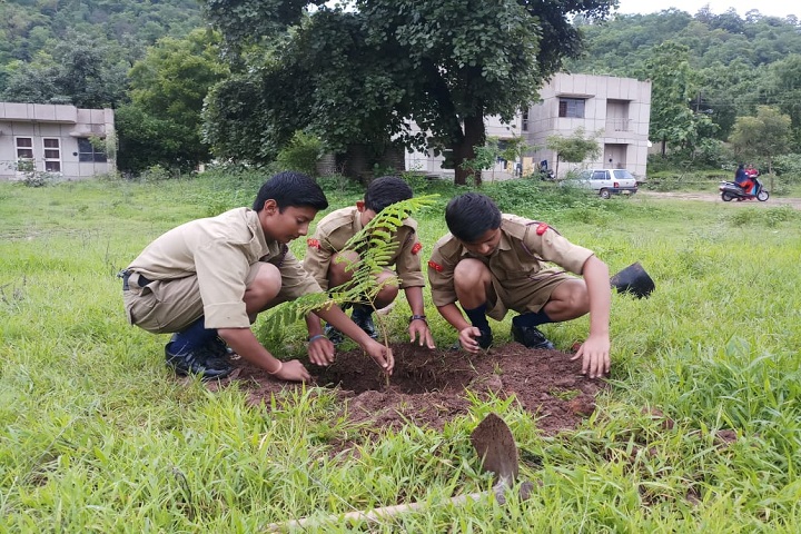 Jawahar Navodaya Vidyalaya-Others plantation