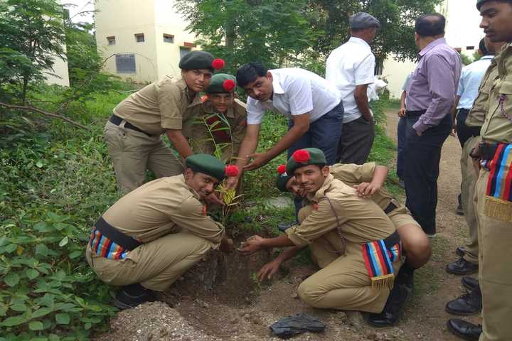 Jawahar Navodaya Vidyalaya-Plantation Activity