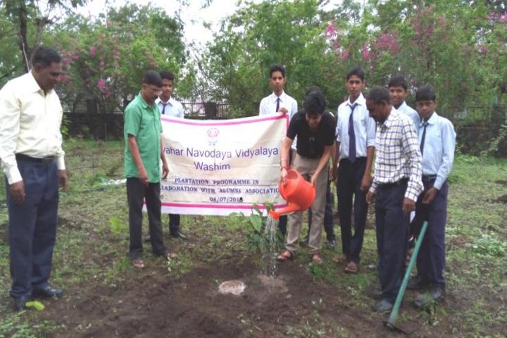 Jawahar Navodaya Vidyalaya-Plantation