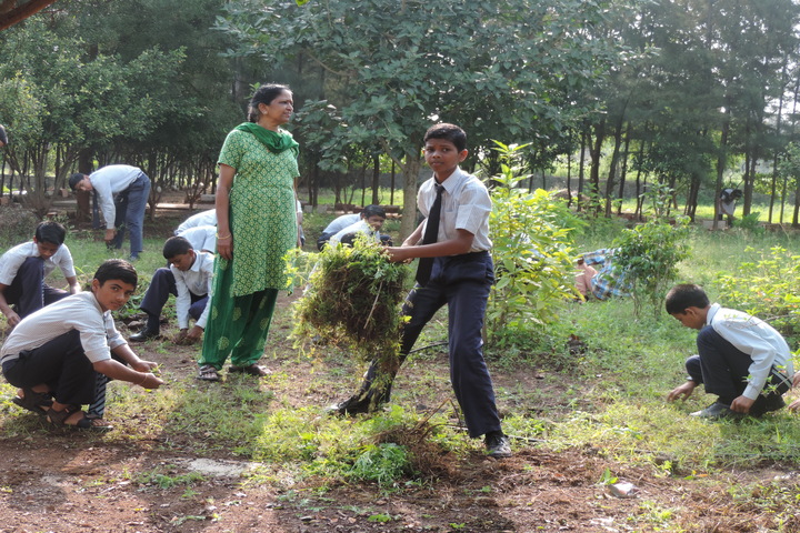 Jawahar Navodaya Vidyalaya-Plantation
