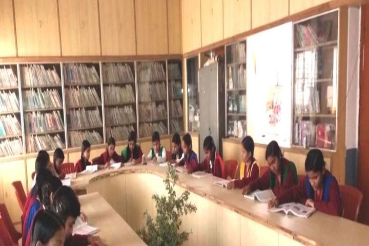 D K Carmel Residential High School-Library