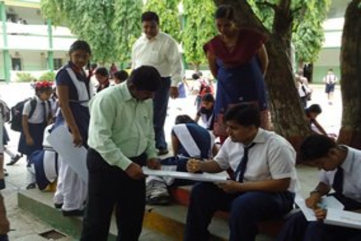 Kendriya Vidyalaya-Activity