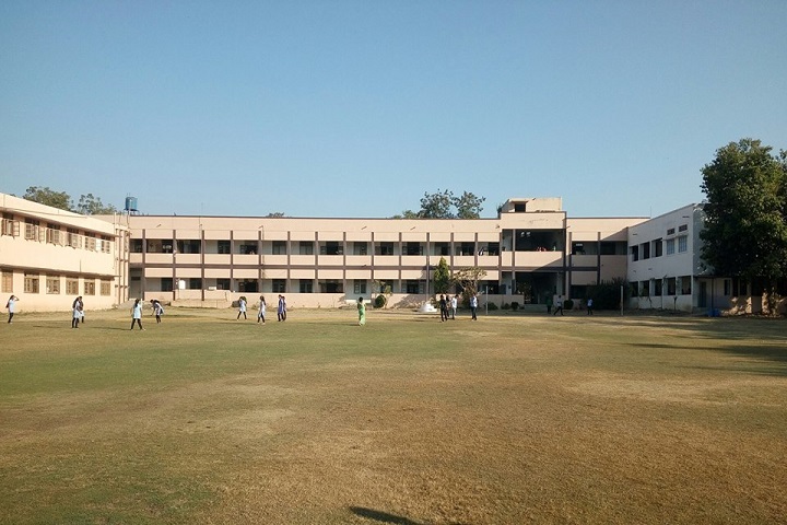 Kurveys New Model Public School-Campus View