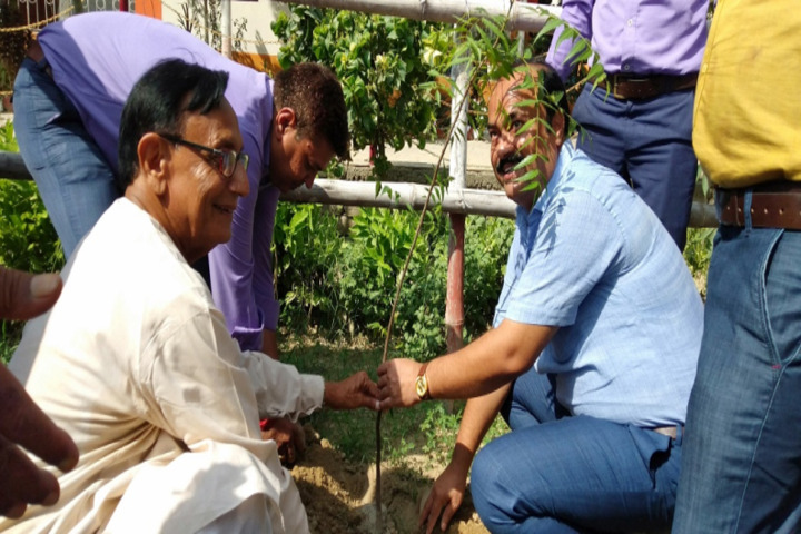 Dav Public School-Tree Plantation