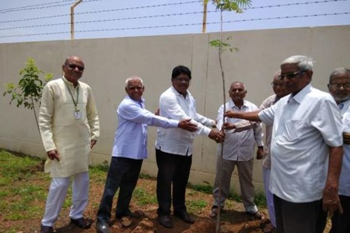 Maharishi Vidya Mandir-Tree Plant