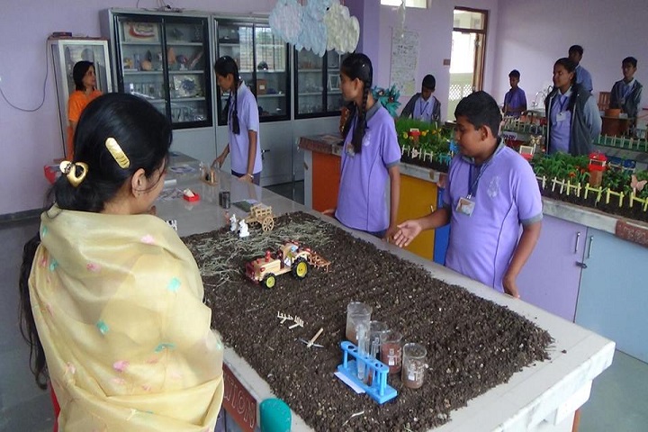 N.V. Chinmaya Vidyalaya-Science Exhibition