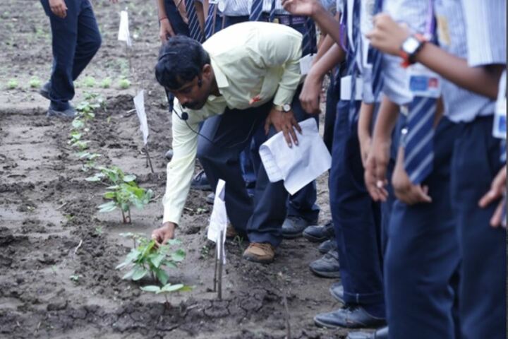 Nagarjuna Public School-Tree Plant