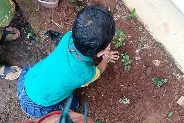 Navnirman High English Medium School-Plantations