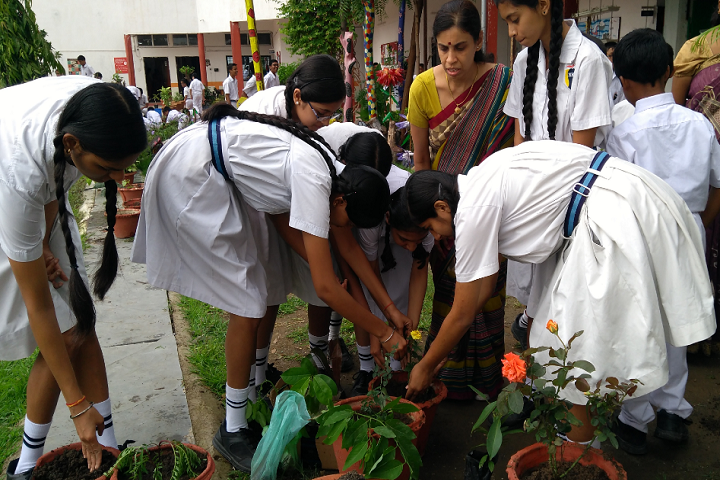 Nk Academy-Tree Plantation