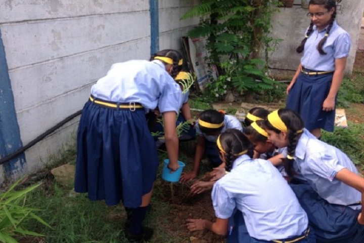 Podar International School-Tree-Plantation