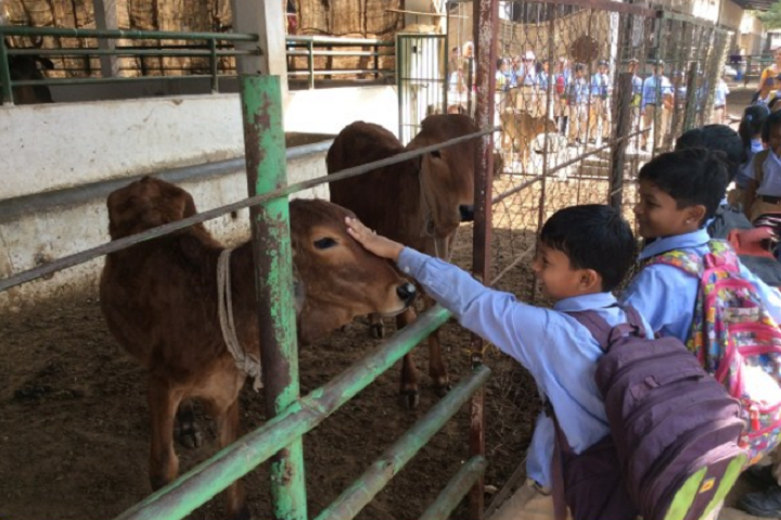 Podar International School-Tour
