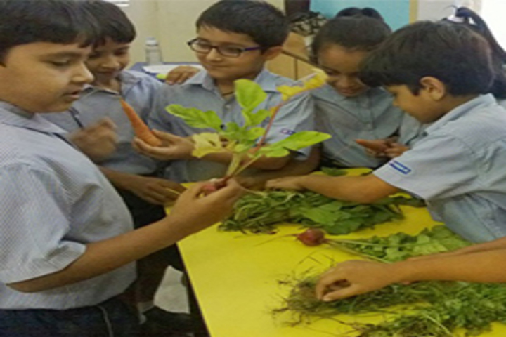 R N Podar School-Activity