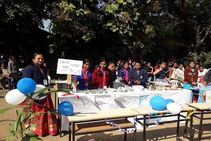 Ramabai Deshmukh Public School-Science fair