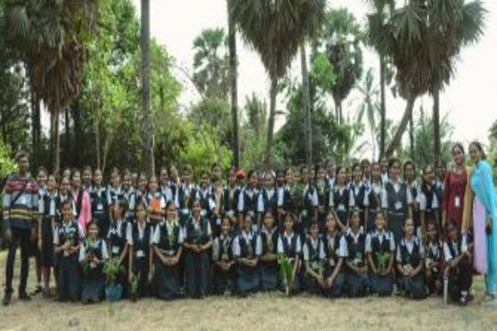 Sheth Vidya Mandir-Tree Plantation