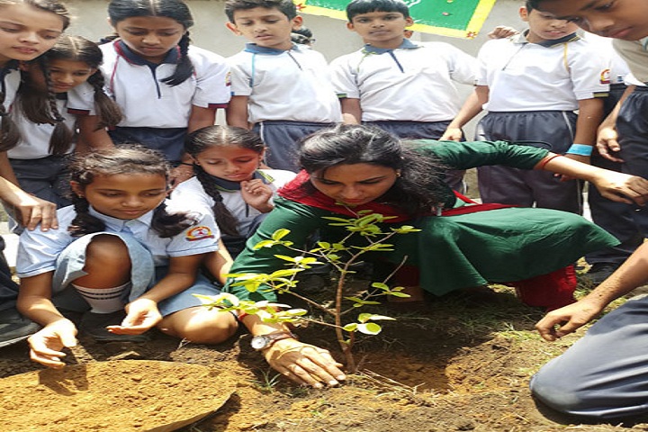 Somalwar School-Others plantation