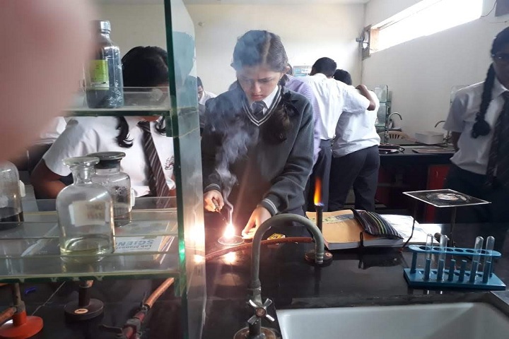 Stepping Stones High School-Chemistry Laboratory