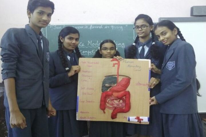 Vidya Niketan School-Biology Project