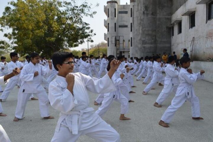Vidya Niketan School-Karate