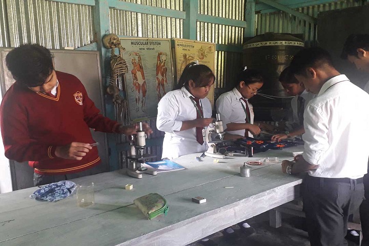 Dav Public School-Laboratory biology