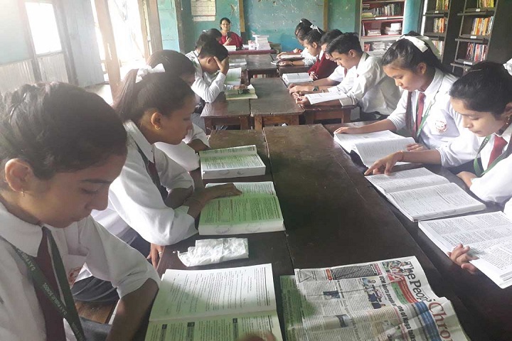 Dav Public School-Library with reading room