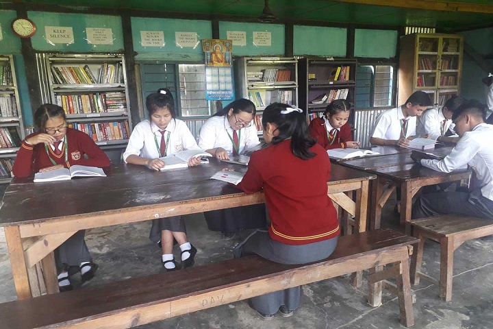Dav Public School-Library