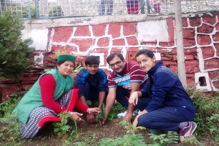 Jawahar Navodaya Vidyalaya-Others plantation