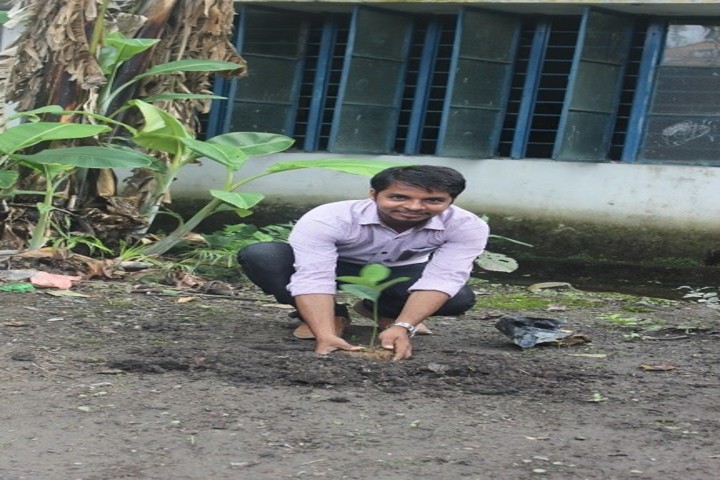 Kendriya Vidyalaya-Tree Plantation