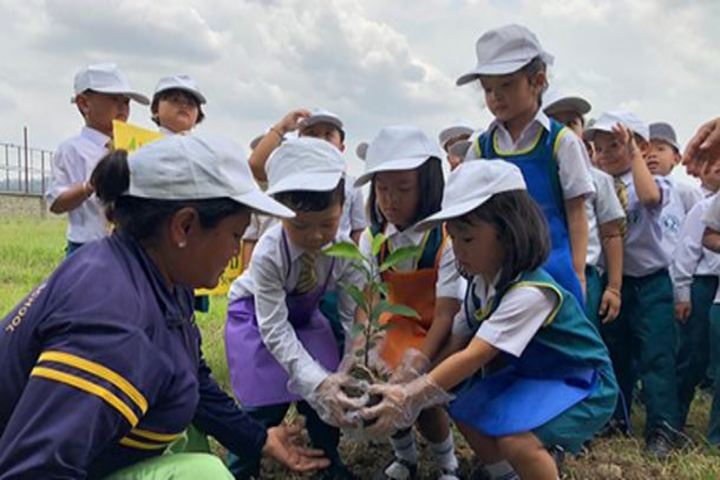 Maria Montessori Senior Secondary School-Maria Montessori Senior Secondary School-Green day
