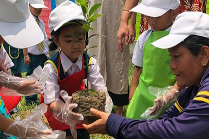 Maria Montessori Senior Secondary School-Tree plantation Day