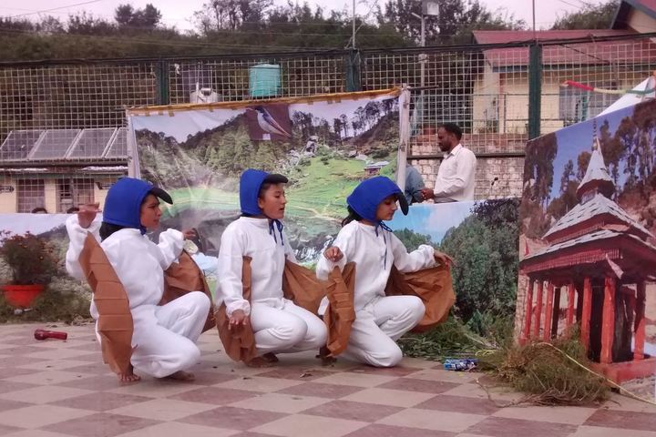 Jawahar Navodaya Vidyalaya-Activity2
