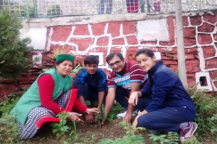 Jawahar Navodaya Vidyalaya-tree plantation