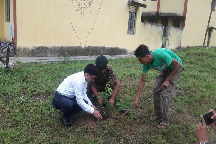 Jawahar Navodaya Vidyalaya-Tree Plantation