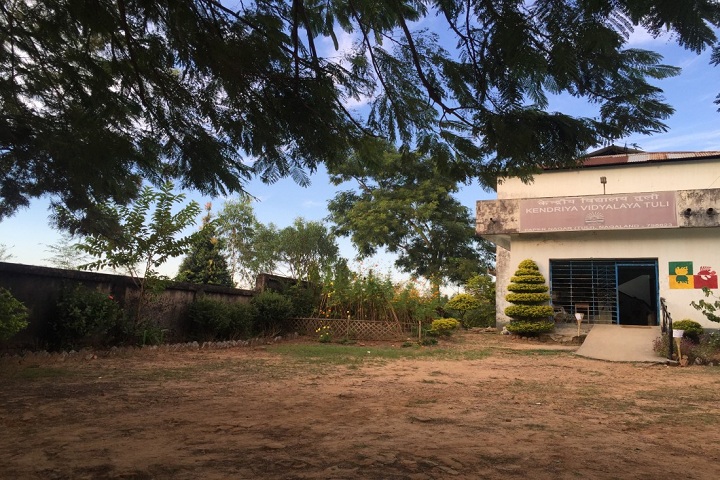 Kendriya Vidyalaya Tuli-Entrance