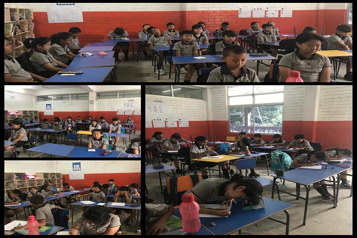 Maple Tree School-Class Room