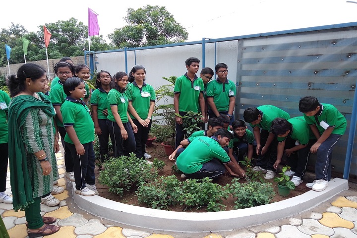 Blossoms School-Plantation
