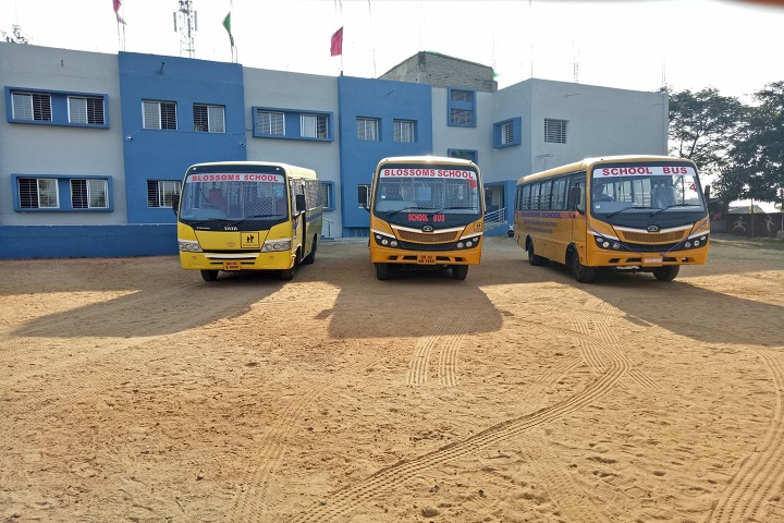 Blossoms School-Transport