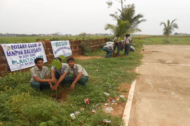 Chilkarani English Medium School-Tree Plant