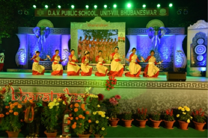 D A V Public School-Annual-Day