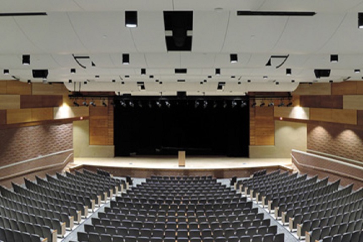D A V Public School-Auditorium