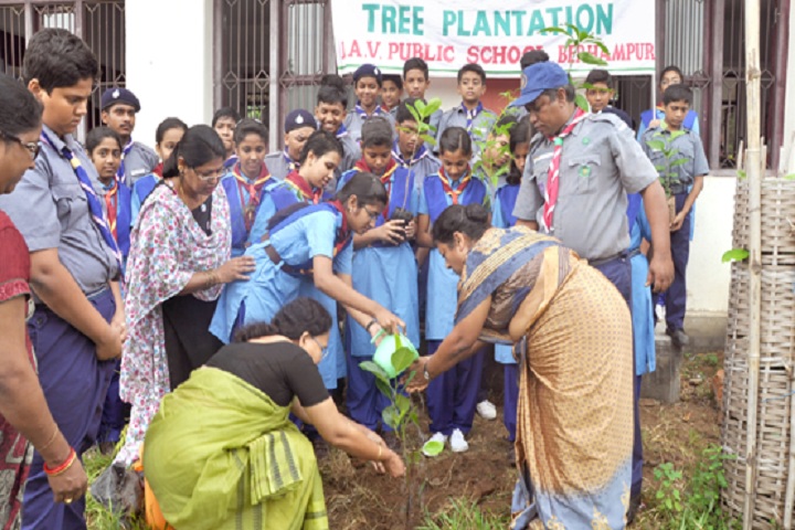 D A V Public School-Plantation