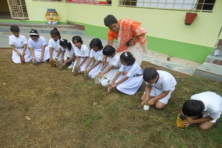 D A V Public School - Tree planting